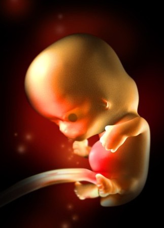 dwt小波变换_dwt_小波变换实例