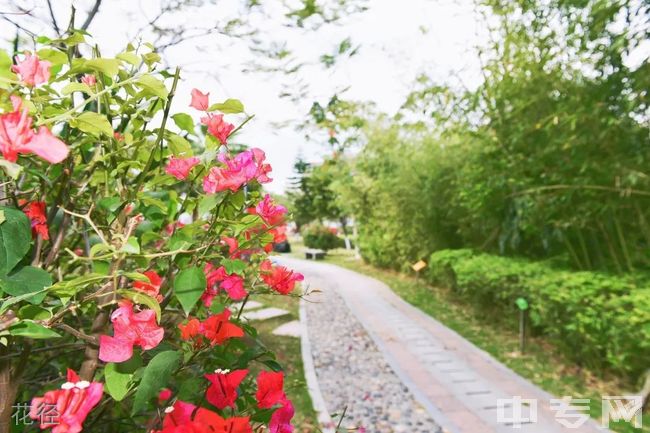 厦门中等职业学校排名大揭秘，这些学校你知道吗？