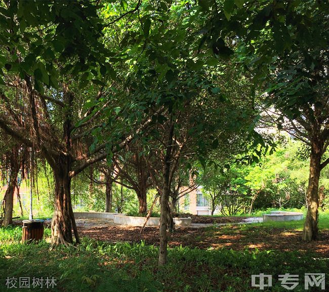 厦门中等职业学校排名_厦门职校中专排行榜_厦门职业中专排名