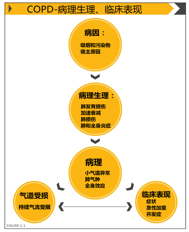 小孩哮喘的症状_哮喘症状小孩能治好吗_哮喘症状小孩怎么治疗