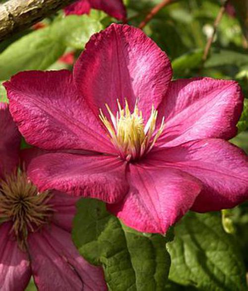 指是什么意思_tabbar指的是什么_tabbar指的是什么