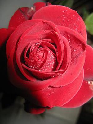 tabbar指的是什么_tabbar指的是什么_指是什么意思