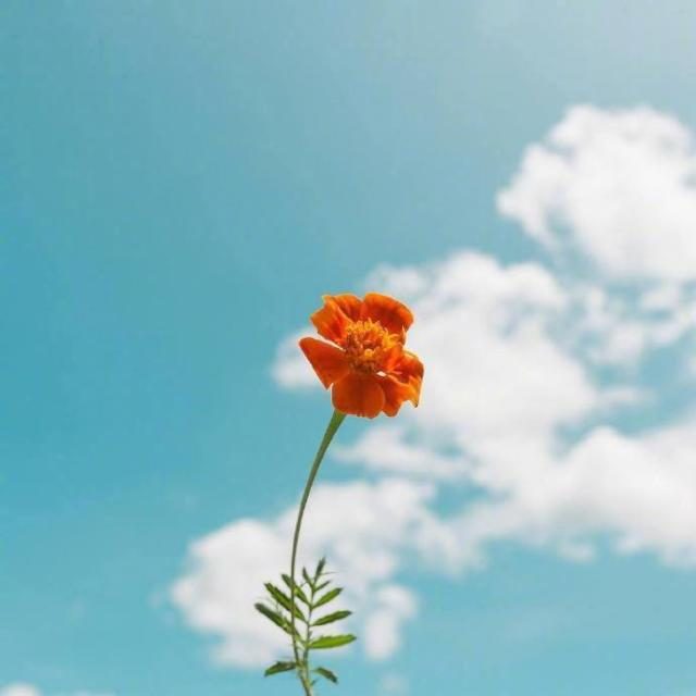 朝阳医院的电话号码_朝阳医院电话号码_朝阳医院号贩子电话