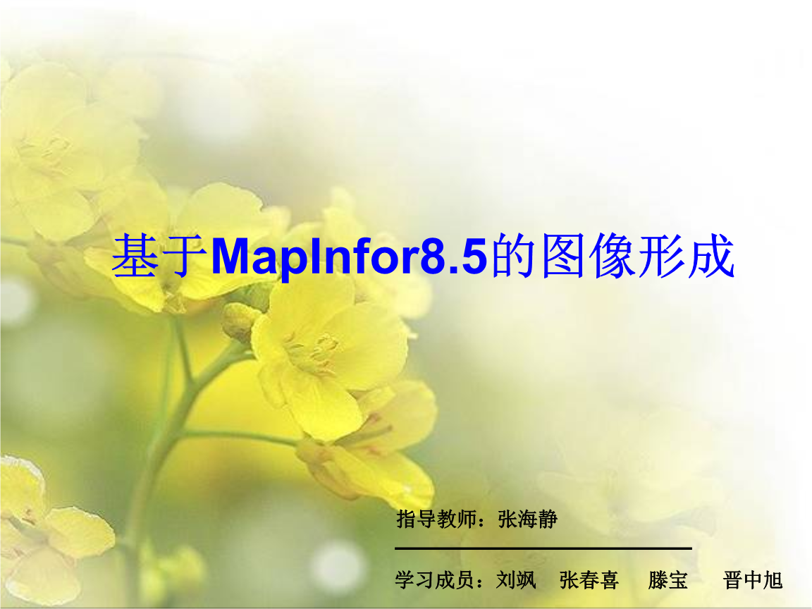 mapinfo 地图矢量化-MapInfo：地图界的魔术师，让地图从二维走向生动