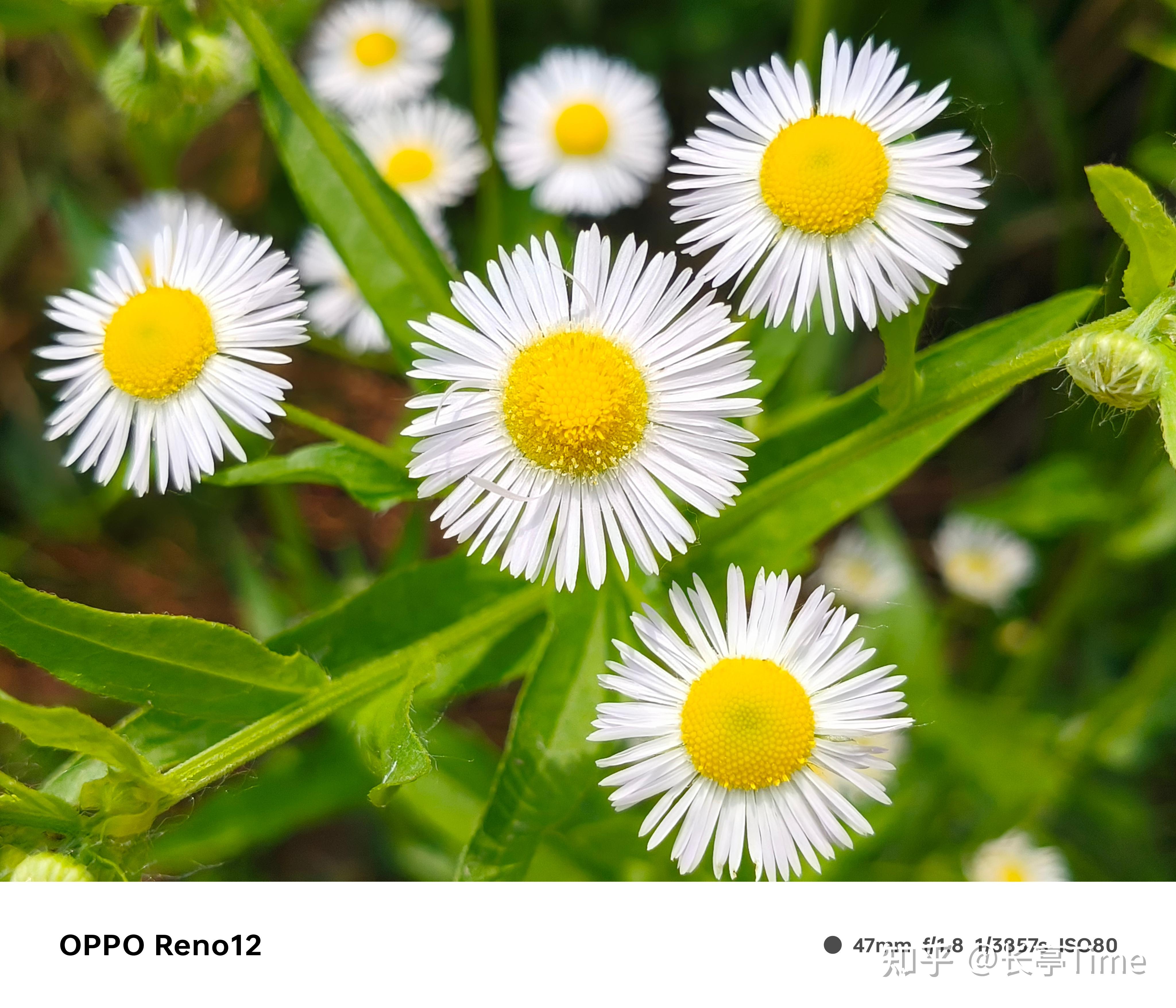 电子商务解决方案考的填空题2024_商务英语填空题_商务智能填空题