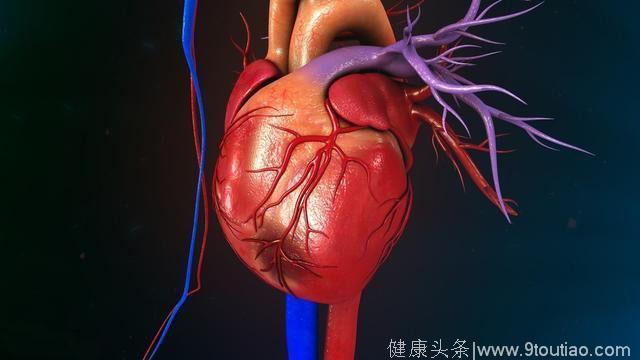 护理冠心病患者的收获与感悟_冠心病病人护理视频_冠心病病人的护理视频