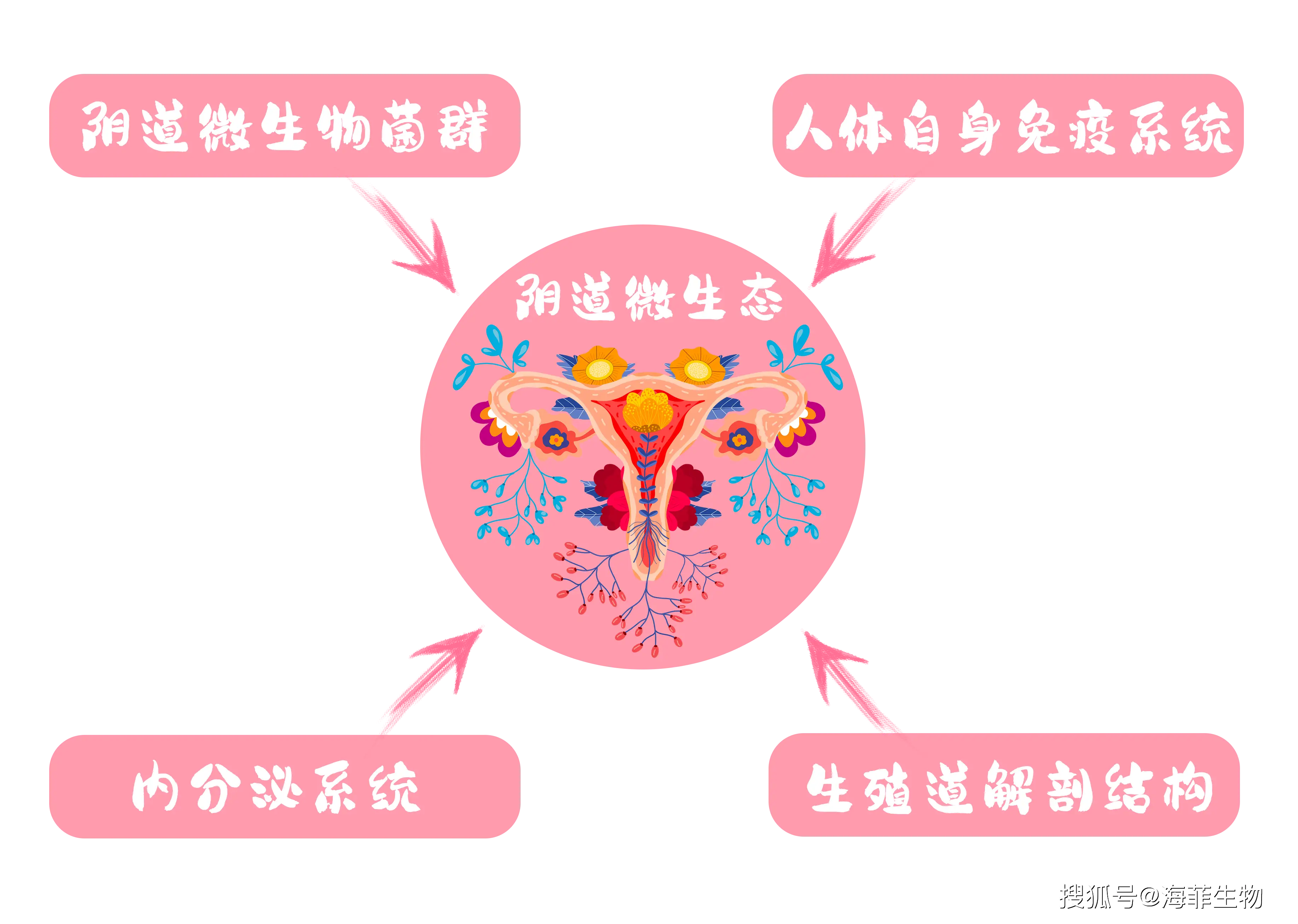 ecosystem翻译-Ecosystem 翻译：连接不同文化与自然的桥梁，传递生态系统的故事