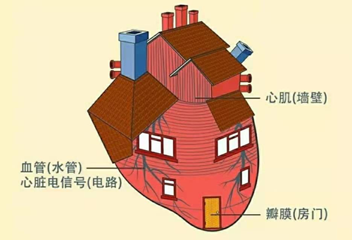 冠心病的护理课件ppt_冠心病的护理课件_冠心病护理ppt课件免费