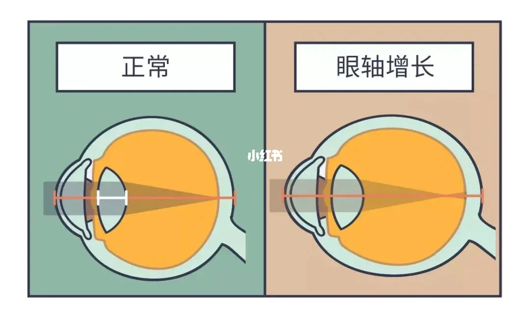 浙江省学籍系统登录_学籍管理平台浙江_浙江省学籍管理系统插件是什么