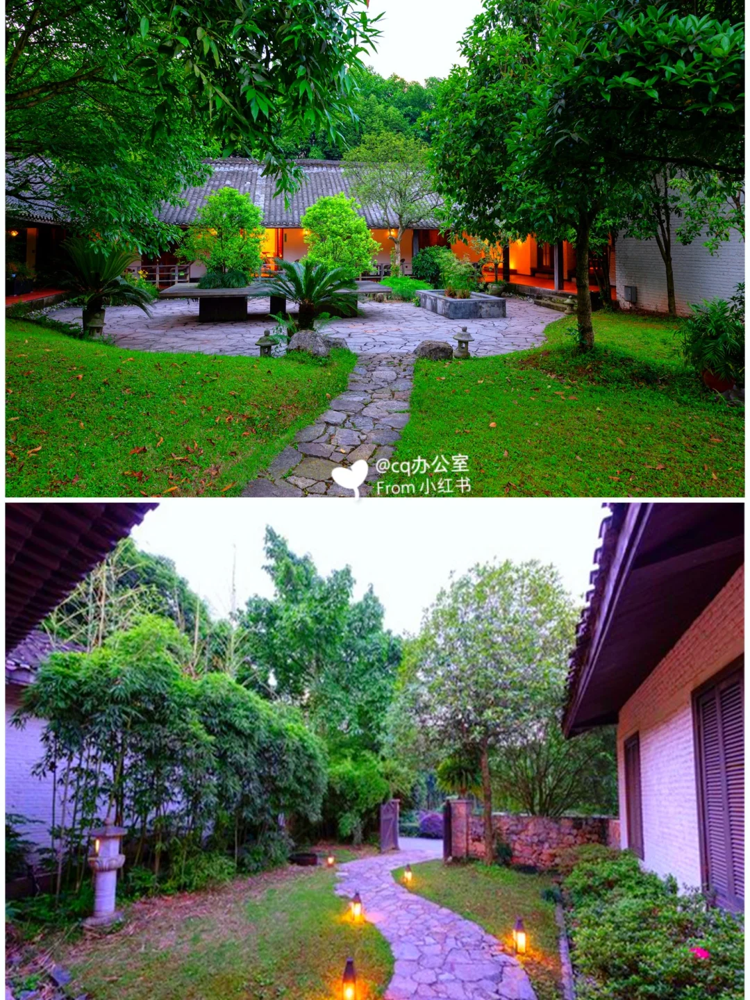 佛山市朝阳医院_佛山禅城区朝阳医院中医医生_佛山市朝阳中医门诊部