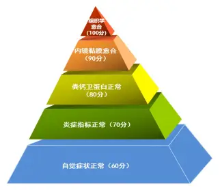 克罗恩最新-克罗恩病：折磨年轻人的肠道恶魔，顽固难治令人崩溃