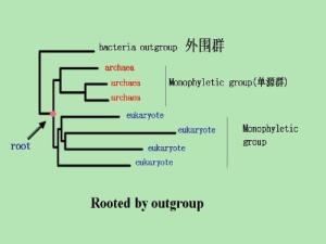 eas 子系统树,EAS子系统树的全面解析