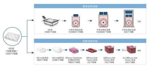 3d培养系统,开启生物医学研究新篇章