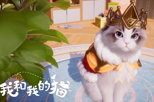 猫和游戏猫