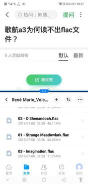 安卓系统不支持flac,FLAC格式兼容性挑战与解决方案