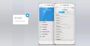 怎么查看安卓系统版本vivo,vivo安卓系统版本查看指南