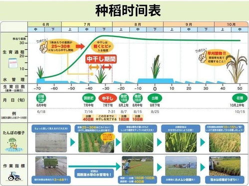 种田系统推荐安卓版下载,体验农业致富新篇章