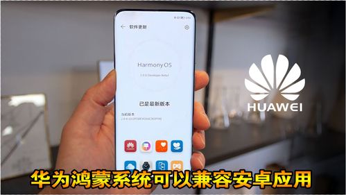华为鸿蒙切换安卓系统,操作指南与注意事项”
