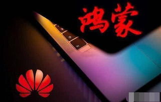 鸿蒙系统打败安卓,华为操作系统挑战安卓霸主地位