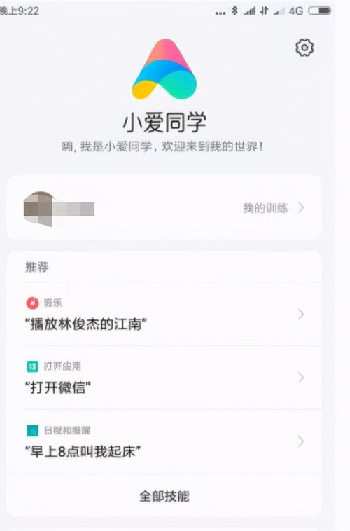 小米换其他安卓系统,从原生安卓到多元系统切换之旅