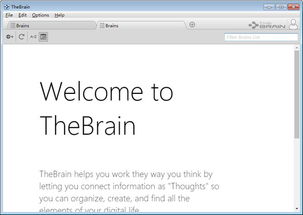 thebrain安卓下载系统,TheBrain安卓下载系统深度解析