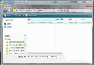 dmg下载安卓系统,轻松实现设备升级与优化