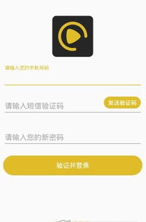 安卓系统授权app网络,安卓系统授权APP网络权限解析与应用