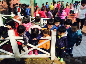 班班幼儿园4游戏手机版 