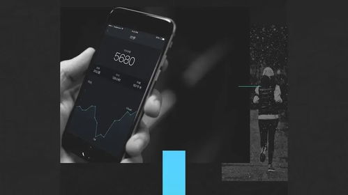 dog健康管理安卓系统,全方位守护爱宠健康生活