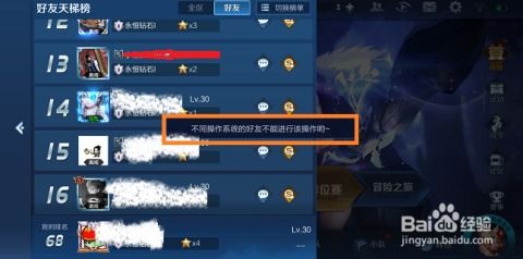 王者安卓系统登苹果,跨平台体验的全新探索