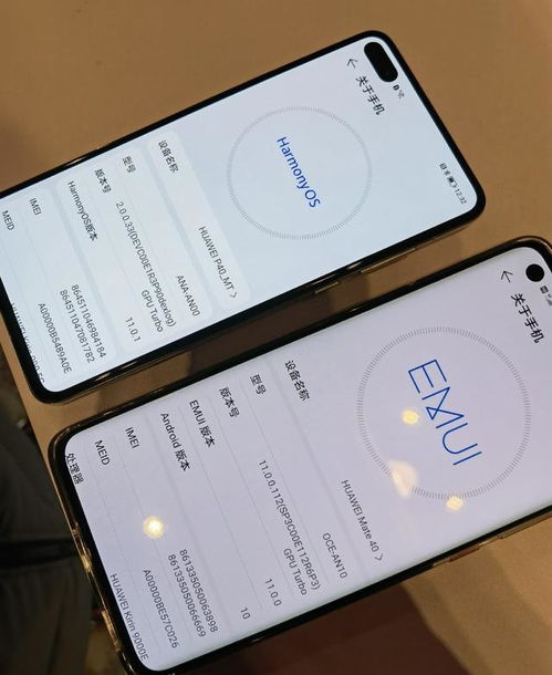 鸿蒙系统怎么降级安卓,操作指南与注意事项